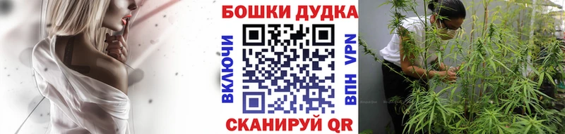 Названия наркотиков Светлогорск ГАШИШ ссылка на мегу ССЫЛКА Метамфетамин Меф Псилоцибиновые грибы A-PVP