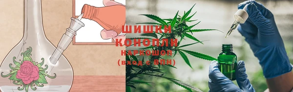 прущие крисы Армянск