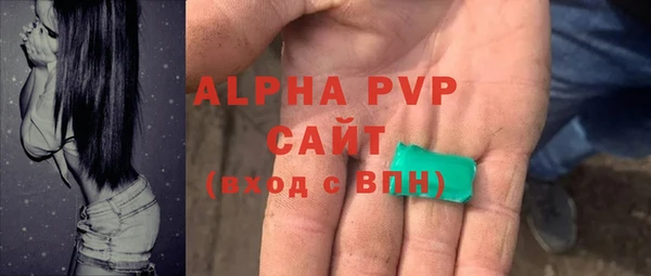 стаф Арсеньев