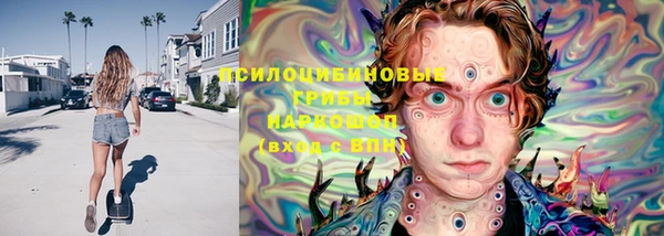 амф Аркадак